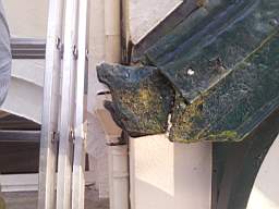 fkillineybeforeexternal 1085.jpg